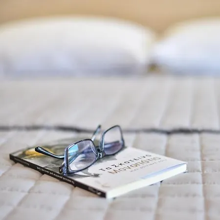 호텔 House Stelitsa