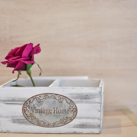 House Stelitsa Hotel *