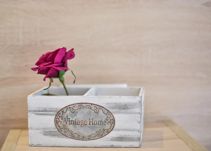 House Stelitsa Hotel *