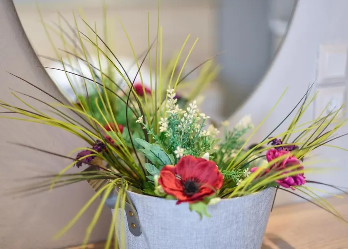 House Stelitsa Hotel *