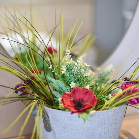 House Stelitsa Otel *